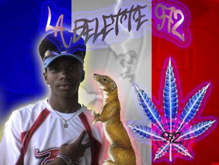 La belette 972